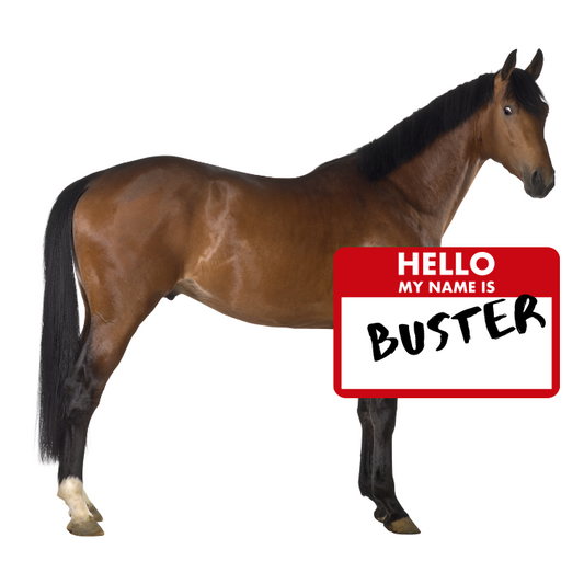 A free ride on “Buster”