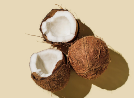 Get Their Coconut Bikini!